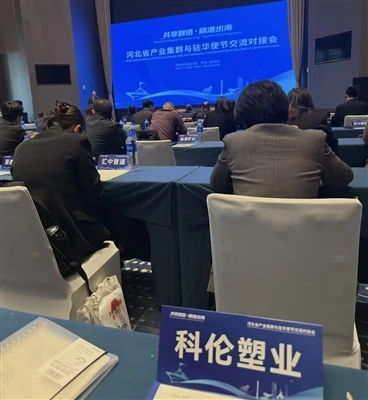 Connecting With Global Diplomats At The Shijiazhuang Summit For Mutual Learning