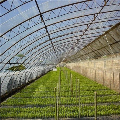 Longevity Dipping Film With High Transmittance