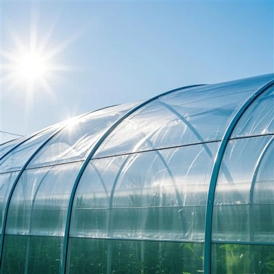 Serviceable Longevity Dripping Film